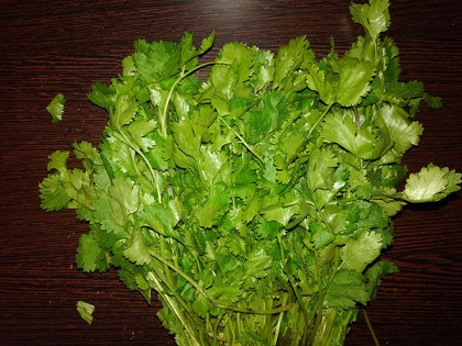 Fresh cilantro